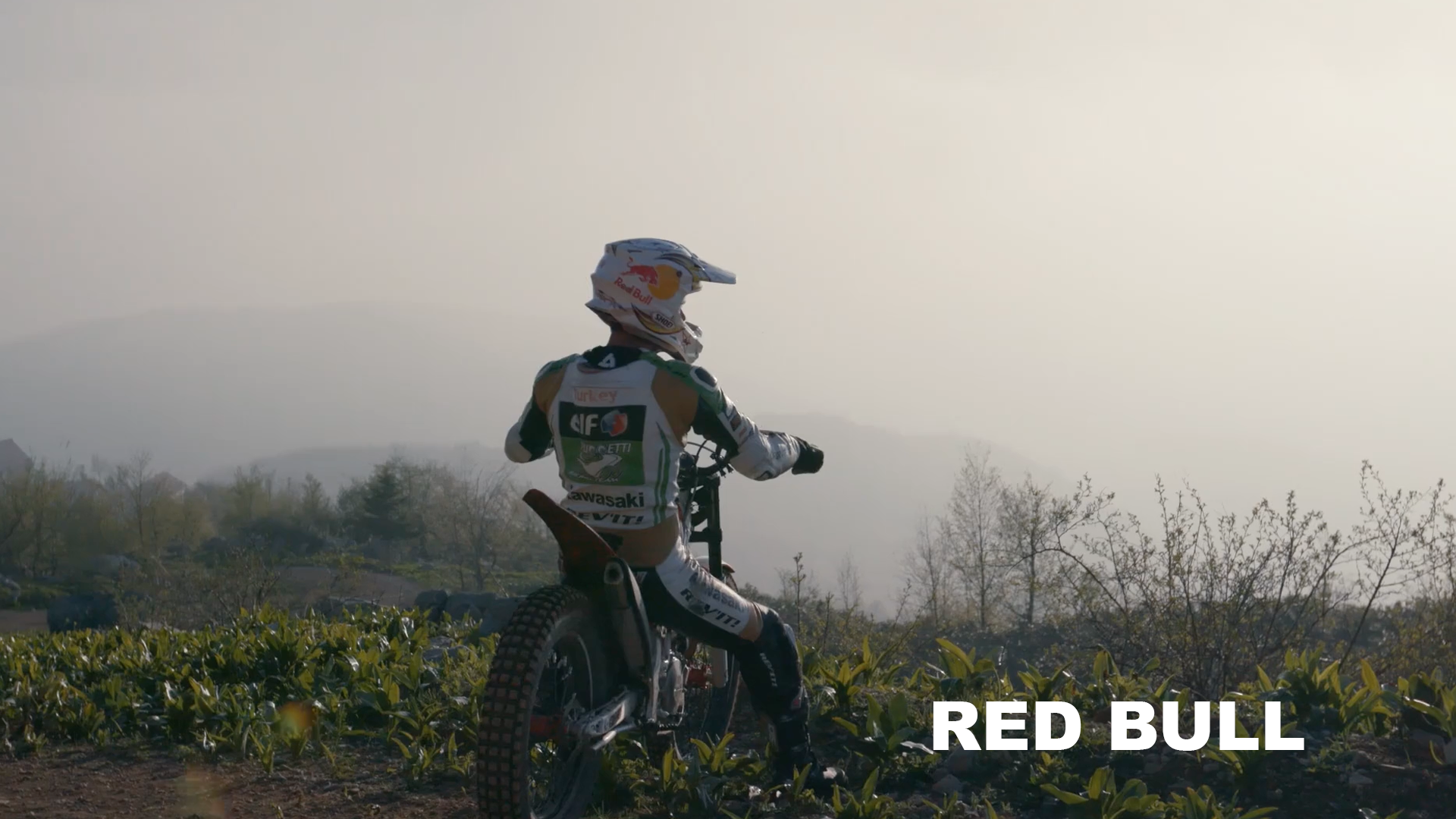 Red Bull Video Image